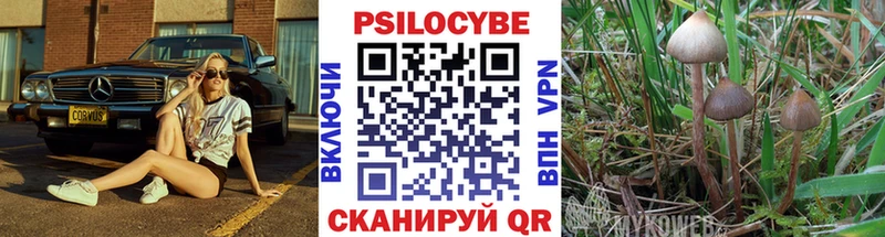 Псилоцибиновые грибы GOLDEN TEACHER  Апшеронск 